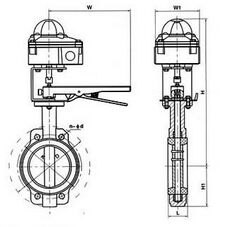 WBSX����������̖���y�Y���D��